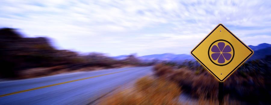 Purple Oranges - IT Solutions, Cloud Data & AI Integration